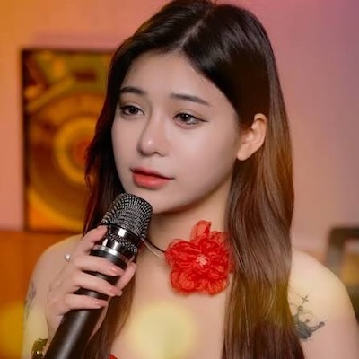 Bảo vân