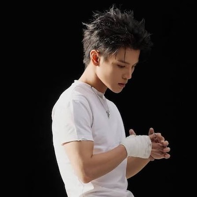 Phạm Đình Thái Ngân