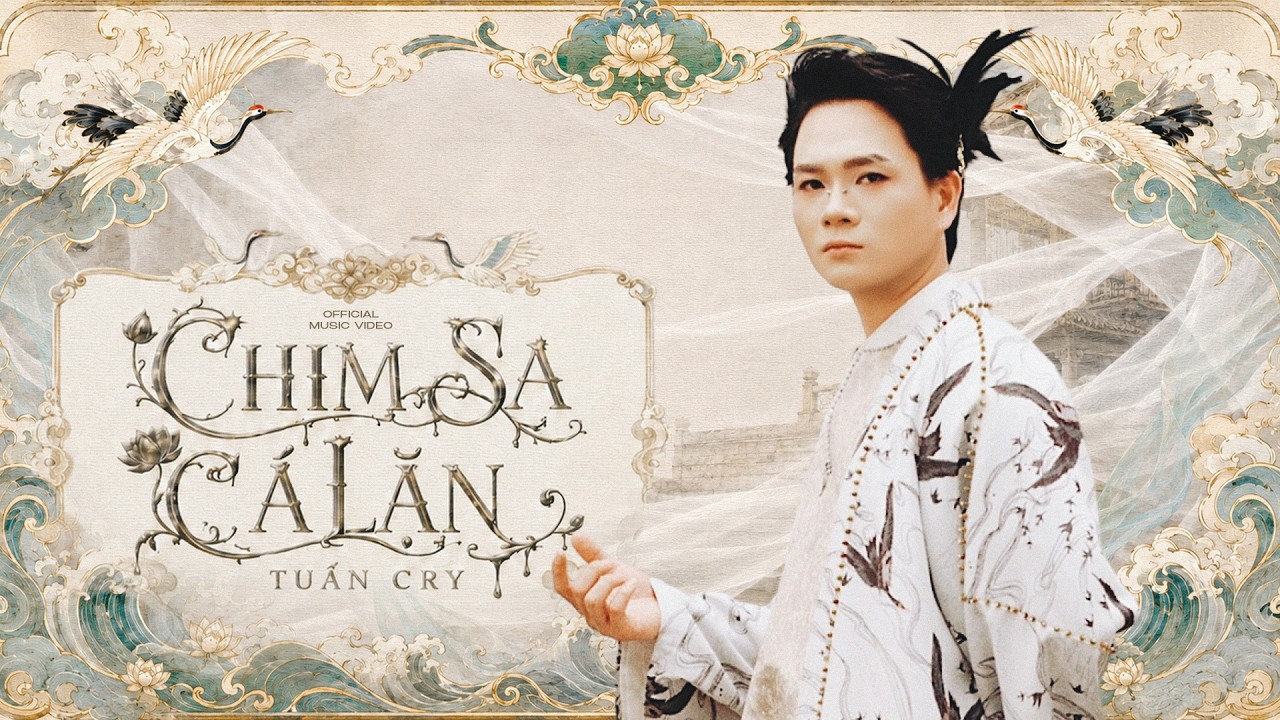 Chim Sa Cá Lặn